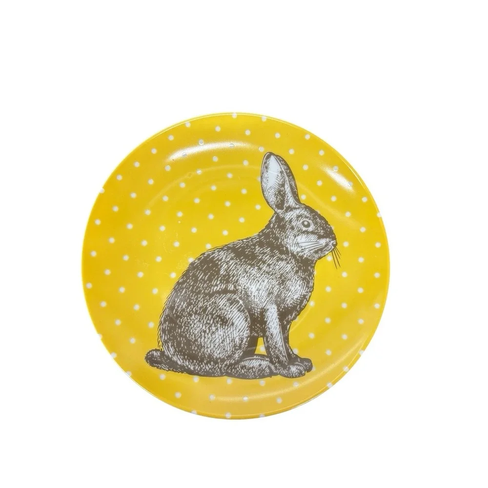BIA Polka Dot Easter Bunny Rabbit Salad Dessert Plates Set of 4 Pastel Colors